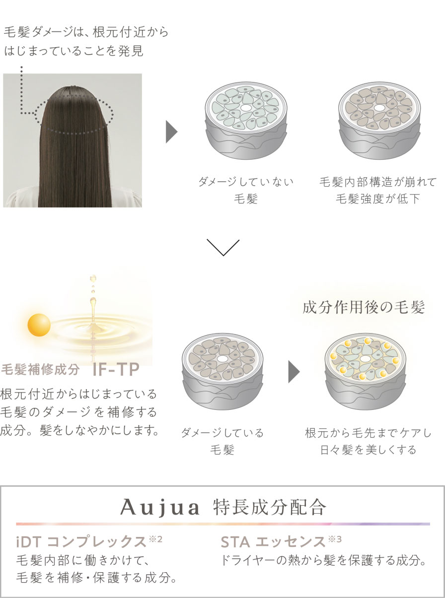 エルミスタ オージュア ヘアードライヤー 715g(715g エルミスタ オージュア ヘアードライヤー（エアコンクインジェクター付）): Aujua  ミルボン公式オンラインストアーズmilbon:iD